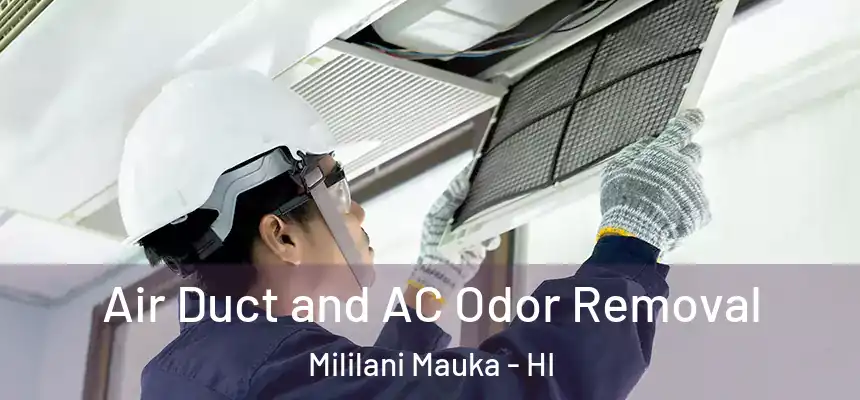  Air Duct and AC Odor Removal Mililani Mauka - HI