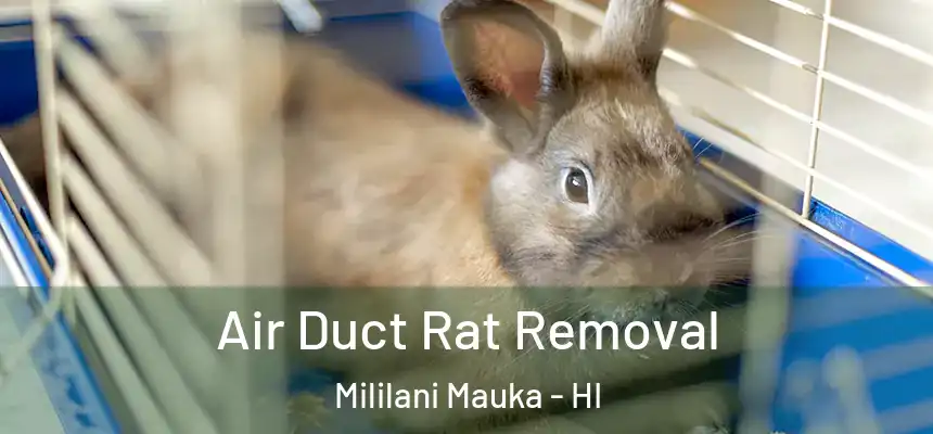 Air Duct Rat Removal Mililani Mauka - HI