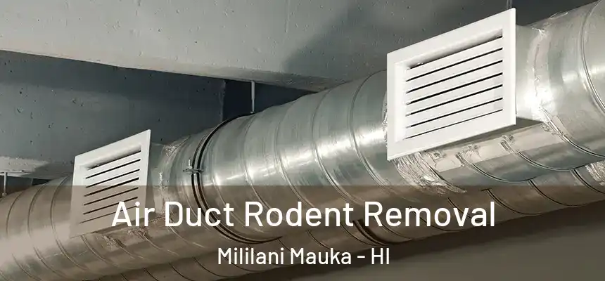  Air Duct Rodent Removal Mililani Mauka - HI