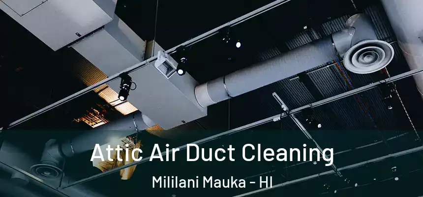  Attic Air Duct Cleaning Mililani Mauka - HI