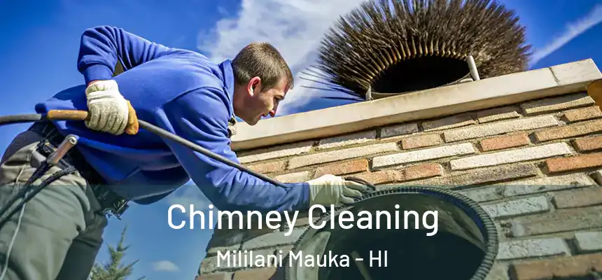 Chimney Cleaning Mililani Mauka - HI
