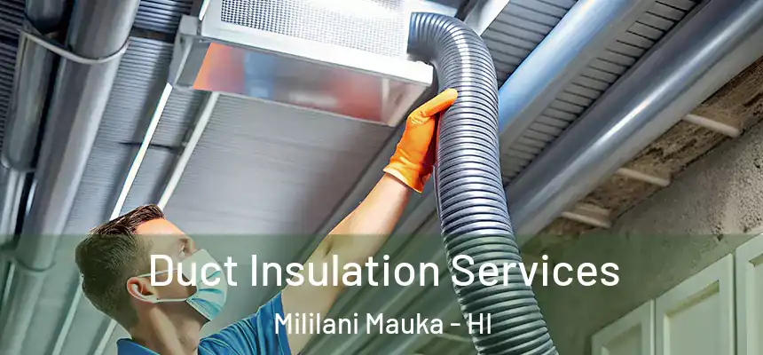 Duct Insulation Services Mililani Mauka - HI