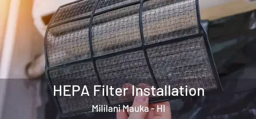  HEPA Filter Installation Mililani Mauka - HI