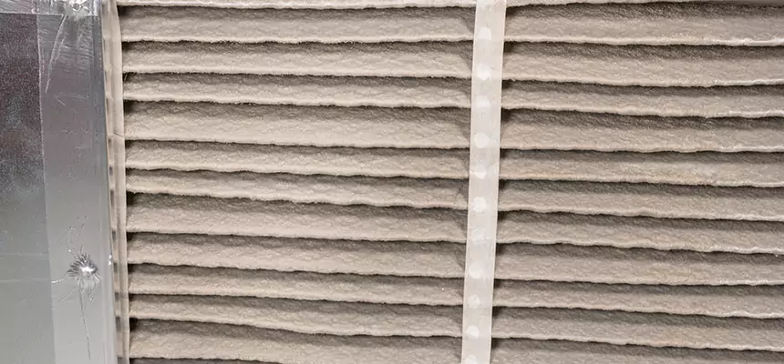 Mobile Car AC Filter Replacement in Mililani Mauka