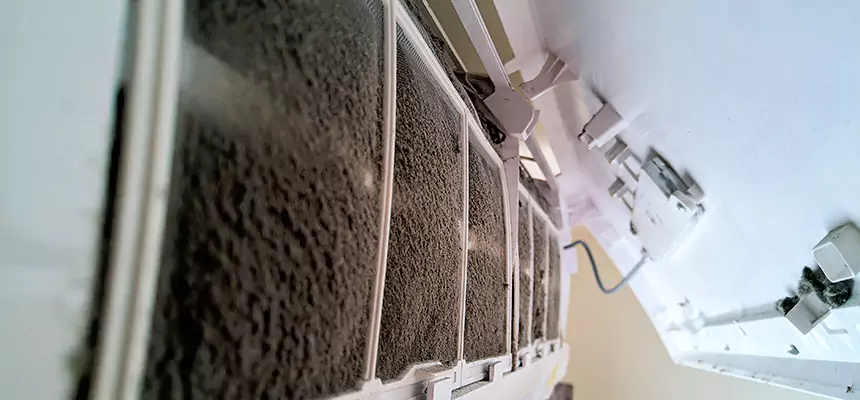 Preventive Air Duct Bacteria Removal in Mililani Mauka