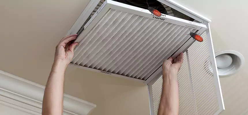 Preventive Cockroach-Proofing for Ducts in Mililani Mauka