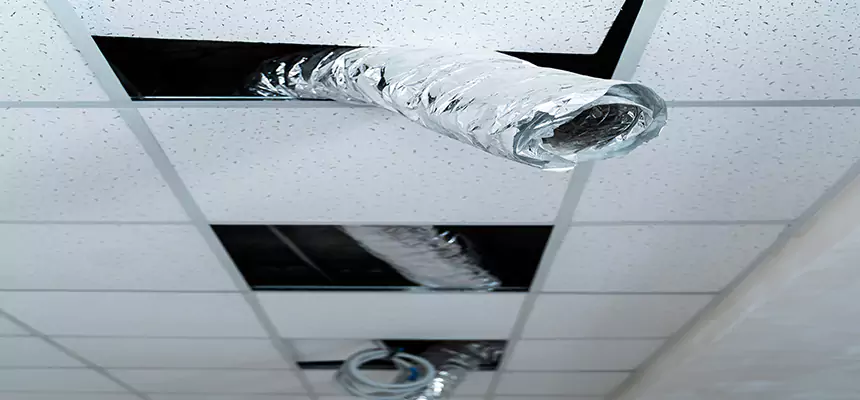 Our Air Duct Pet Hair Removal Services in Mililani Mauka, HI