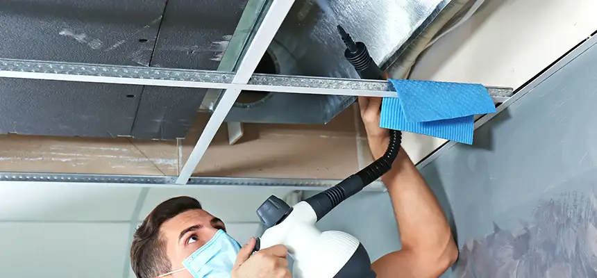 Our Air Duct Rodent Removal Services in Mililani Mauka, HI