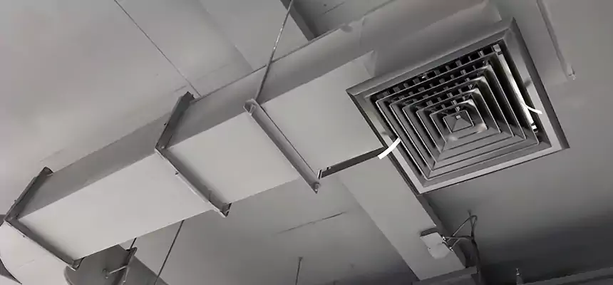 Restorative Allergy Relief Vent Cleaning – Coil, Blower & Housing Detail in Mililani Mauka