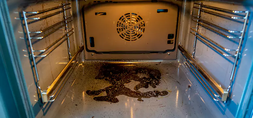 Our Dryer Vent Mold Cleaning Services in Mililani Mauka, HI