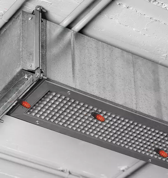 About Air Duct Cockroach Removal in Mililani Mauka, HI