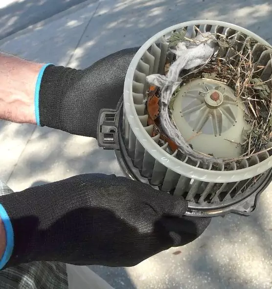 About Air Duct Rat Removal in Mililani Mauka, HI