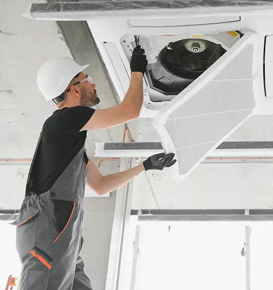 About Air Duct Rodent Removal in Mililani Mauka, HI