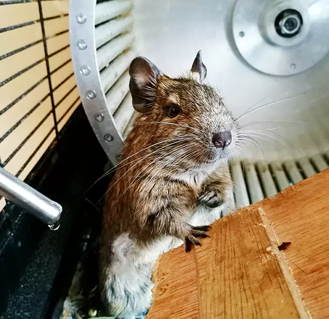 Why Homeowners & Businesses Trust Us Mililani Mauka, HI