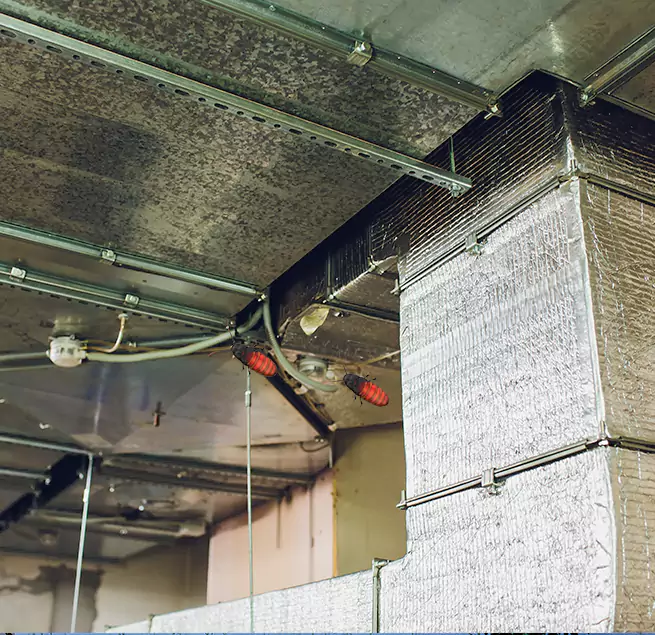 Why Homeowners & Businesses Trust Us Mililani Mauka, HI?