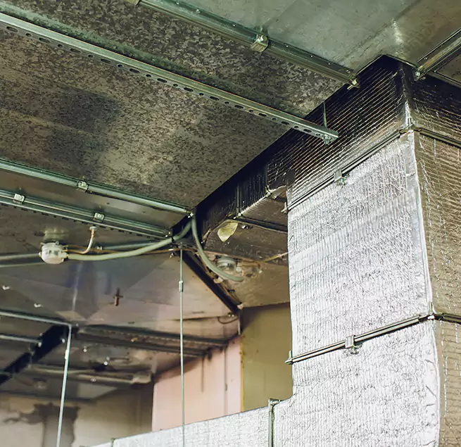 Why Homeowners & Businesses Trust Us in Mililani Mauka, HI?