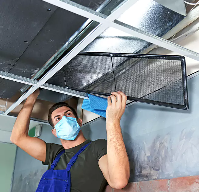 Why Homeowners & Businesses Trust Us in Mililani Mauka, HI?