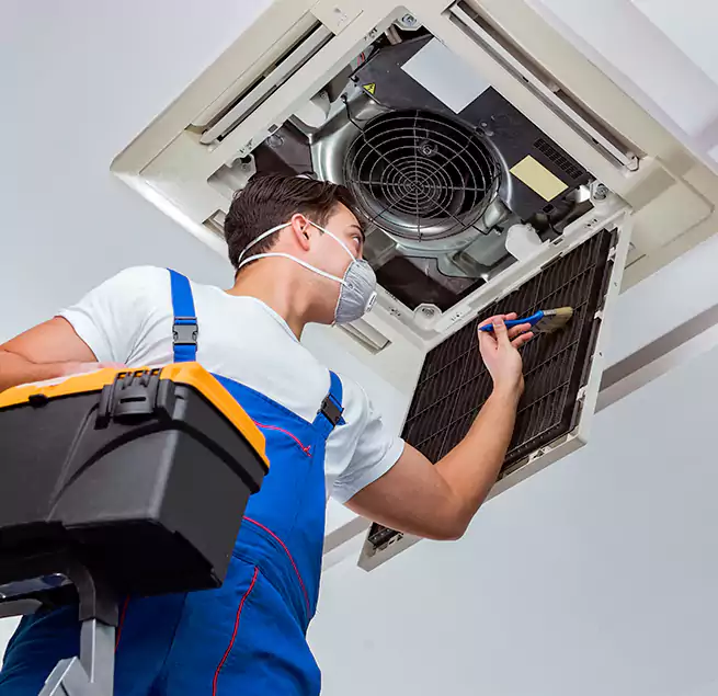 Why Homeowners & Businesses Trust Us in Mililani Mauka, HI?